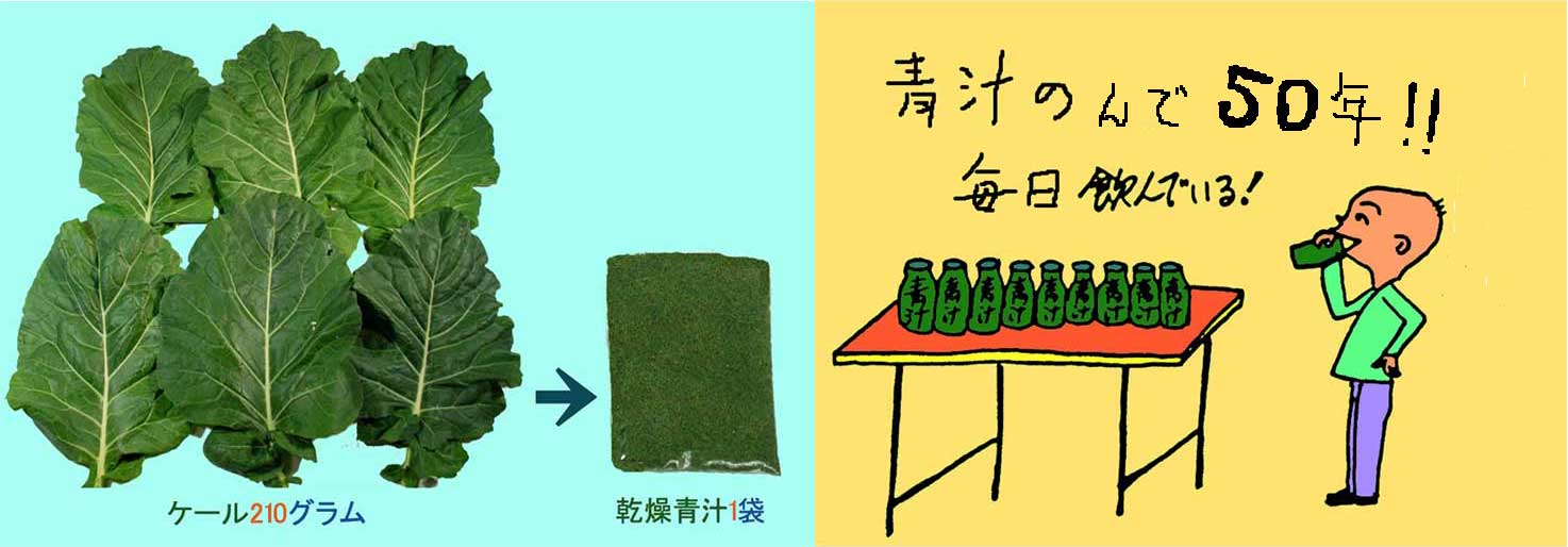 �`�𖈓������50�N�I